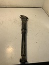 IMG_2916.jpeg