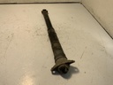 IMG_2920.jpeg