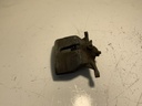 IMG_2944.jpeg