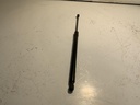 IMG_2826.jpeg