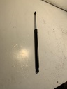 IMG_2842.jpeg