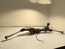 IMG_2967.jpeg