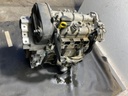 IMG_2987.jpeg