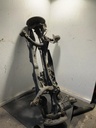 IMG_2979.jpeg