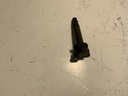 IMG_3007.jpeg