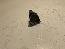 IMG_3006.jpeg