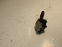 IMG_3086.jpeg