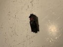 IMG_3109.jpeg