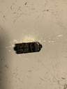 IMG_3111.jpeg