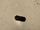 IMG_3105.jpeg