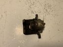 IMG_3204.jpeg