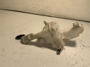 IMG_3046.jpeg