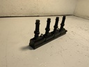 IMG_3284.jpeg