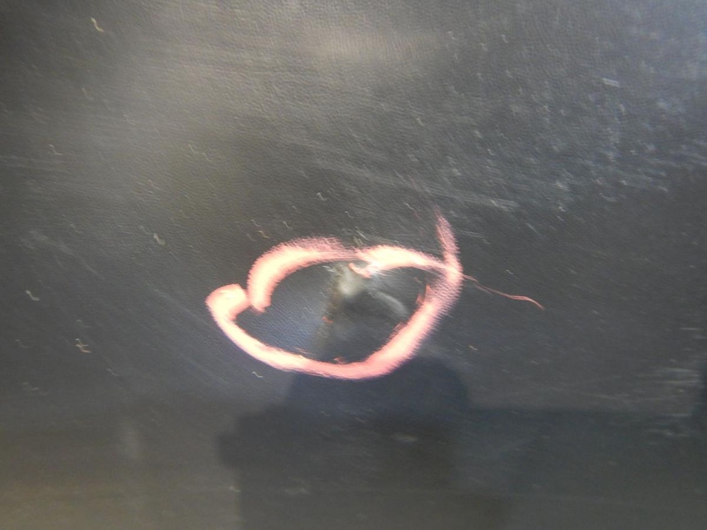 DSCN1528.JPG