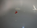 DSCN1527.JPG