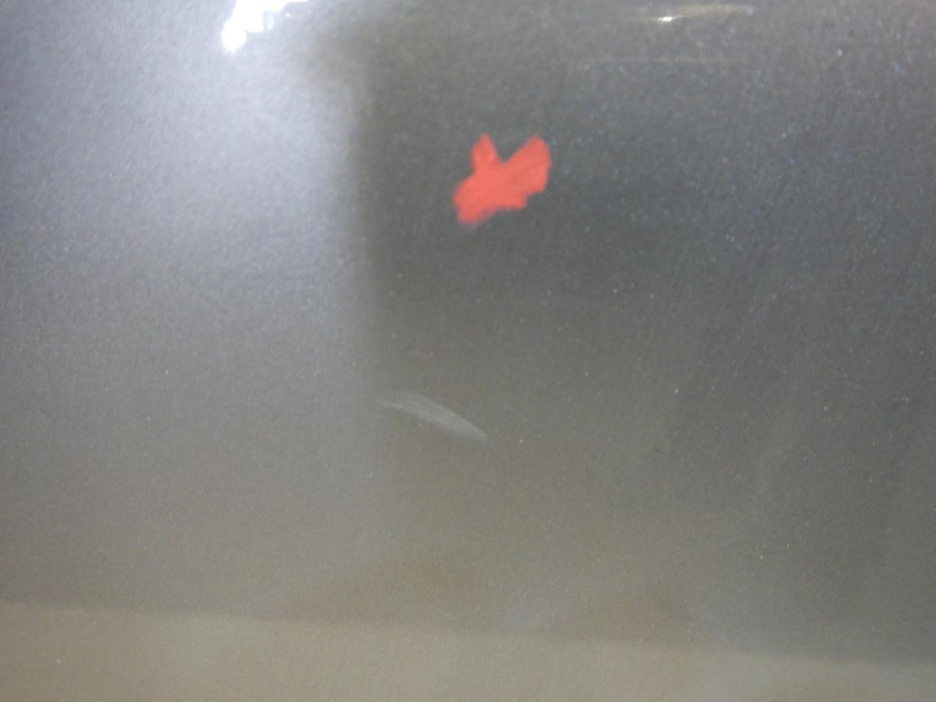 DSCN1667.JPG
