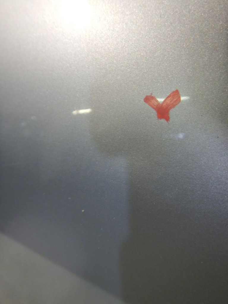 DSCN1659.JPG