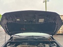 IMG_20260508_095341.jpg