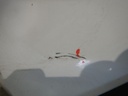 DSCN1819.JPG