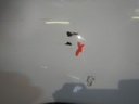 DSCN1817.JPG