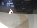 DSCN2071.JPG
