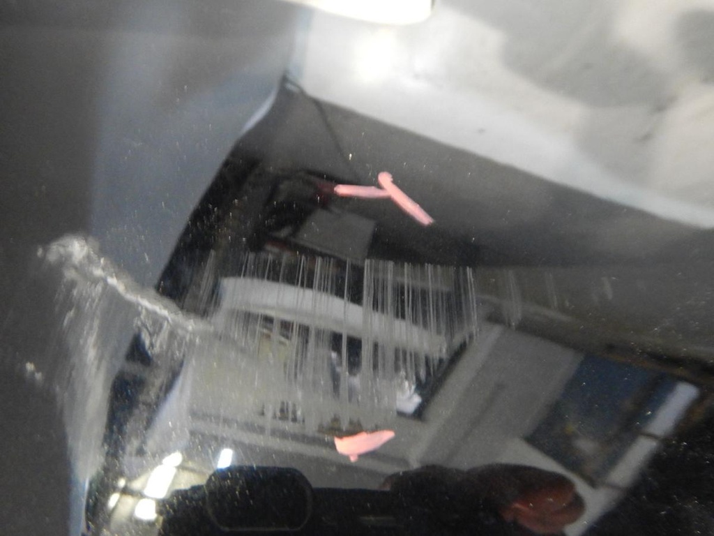 DSCN2092.JPG