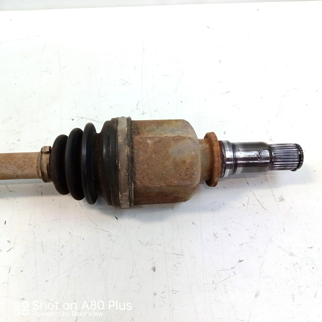 IMG_20260601_142523_5.jpg
