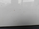 IMG_20260610_094526.jpg
