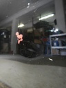 DSCN2374.JPG