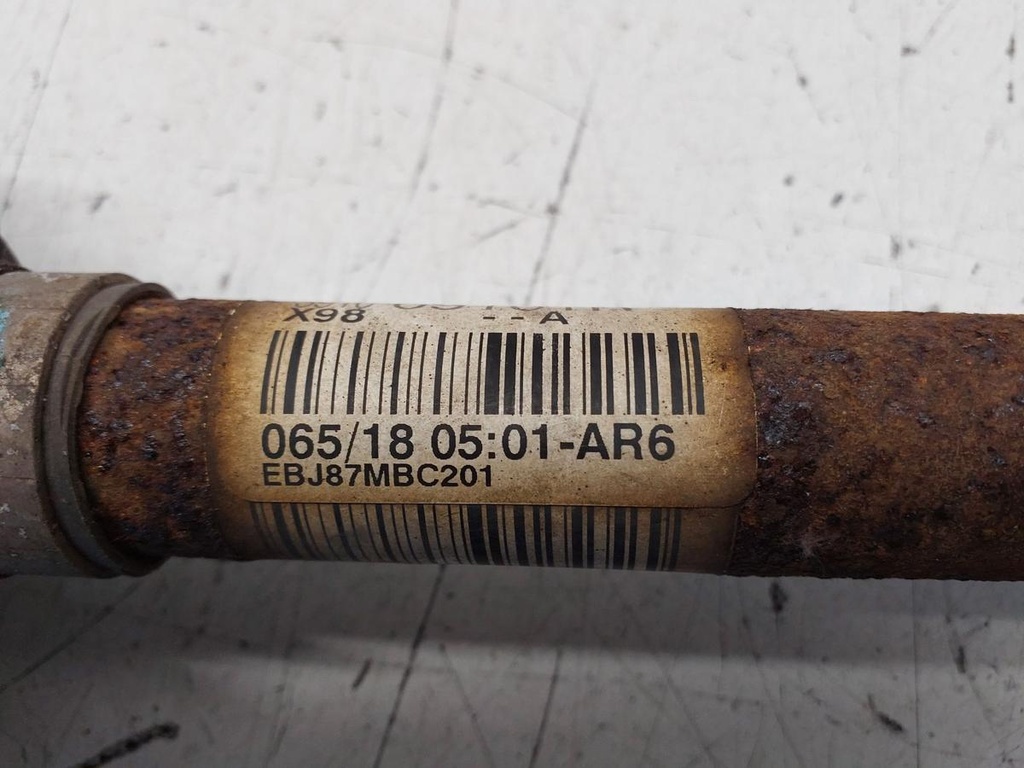 20260624_110946.jpg
