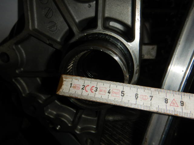 Kuga 001.JPG