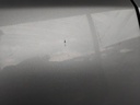 IMG_20260701_150141.jpg