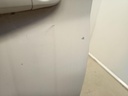 IMG_20260716_093248.jpg