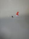 DSCN3046.JPG