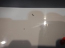 DSCN3027.JPG