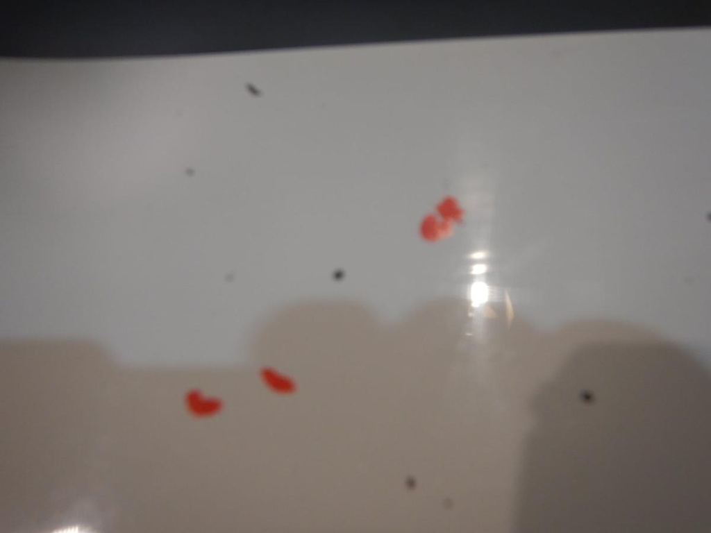 DSCN3026.JPG