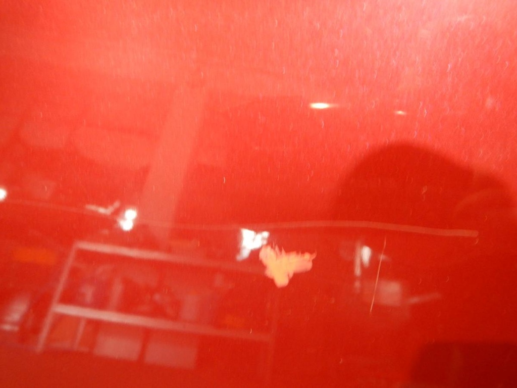 DSCN3305.JPG