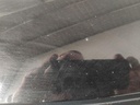 IMG_20260803_084854.jpg