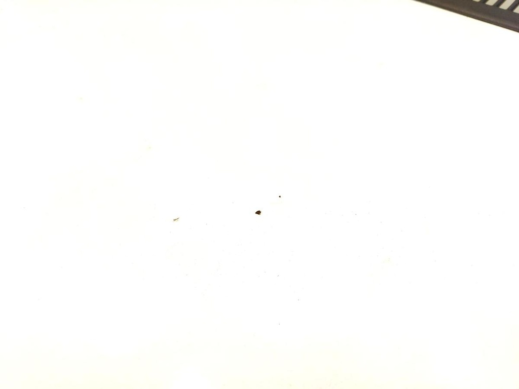 IMG_20260804_142432.jpg