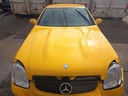 IMG_20260805_094143.jpg