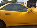 IMG_20260805_094518.jpg