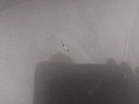 IMG_20260813_105622.jpg