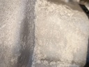 IMG_20260814_113912.jpg
