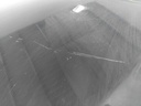 IMG_20260819_084025.jpg