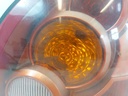 20260819_150847.jpg