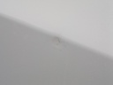 IMG_20260826_083849.jpg