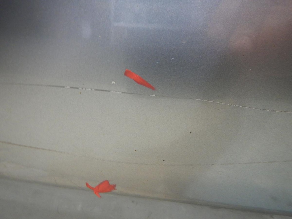DSCN3940.JPG