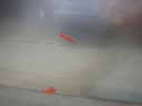 DSCN3940.JPG