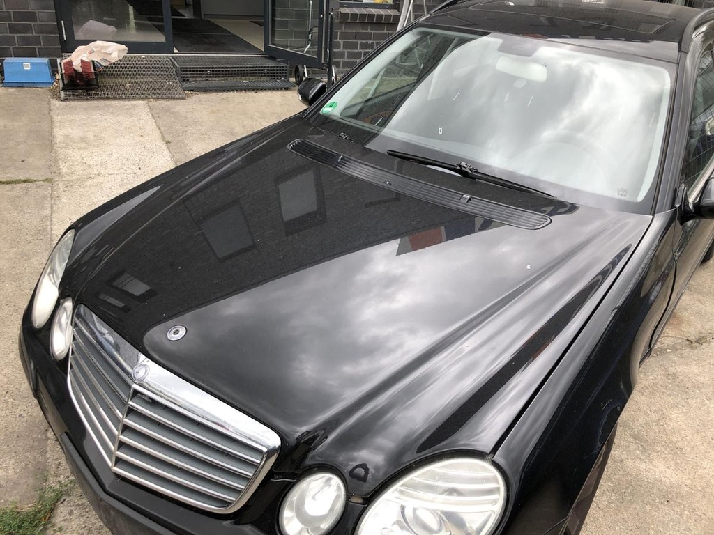 IMG_4427.JPG