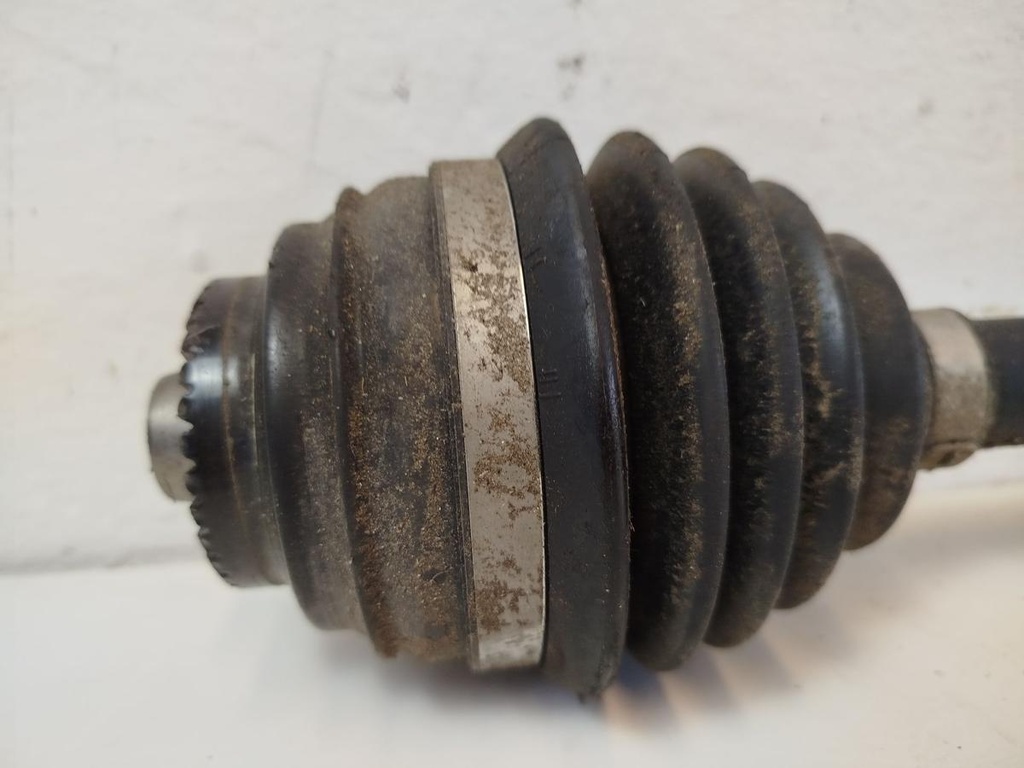 IMG_20260908_151229.jpg